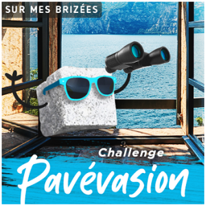 logo-challenge-pavc3a9vasion-moymle